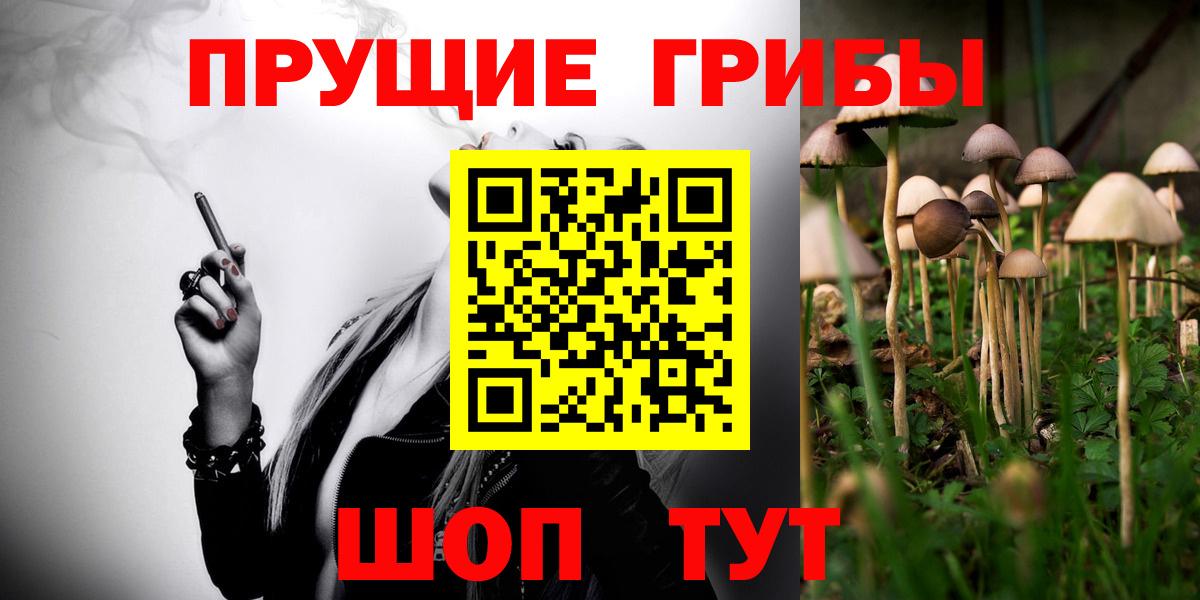Елабуга  Галлюциногенные грибы ЛСД  где продают   Вход с VPN 