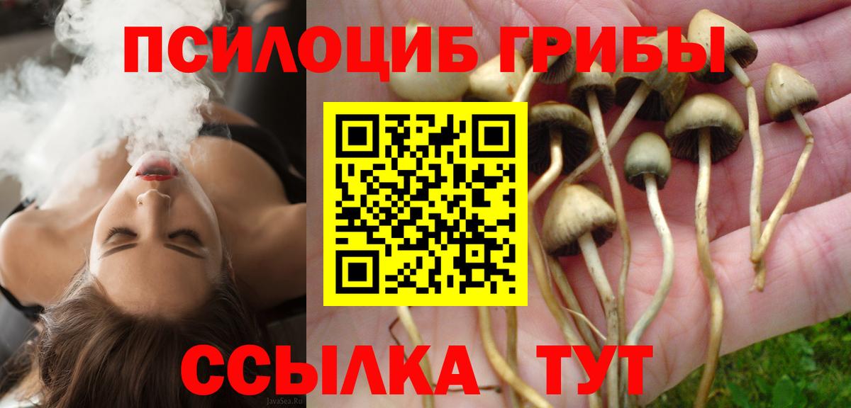 Псилоцибиновые грибы MAGIC MUSHROOMS Елабуга